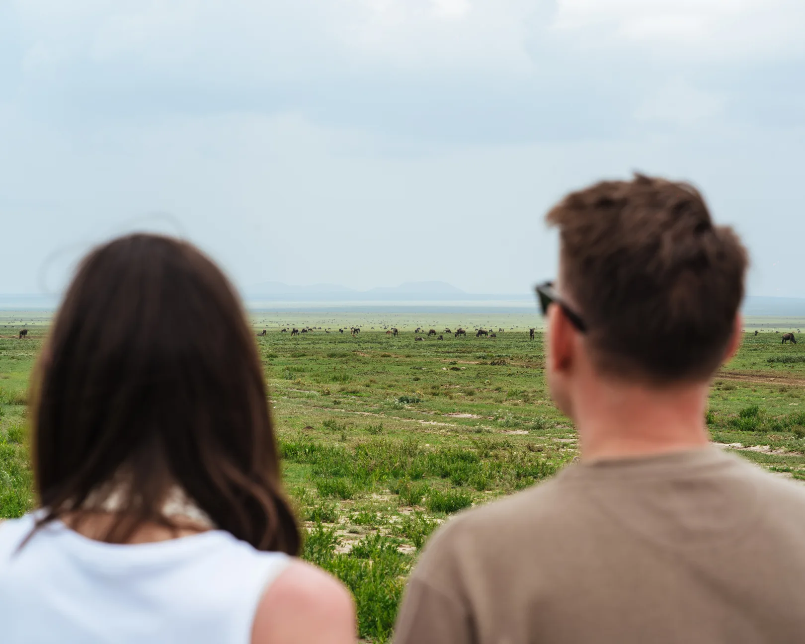 Wildebeest on the Serengeti plains — the world's most famous wildlife migration